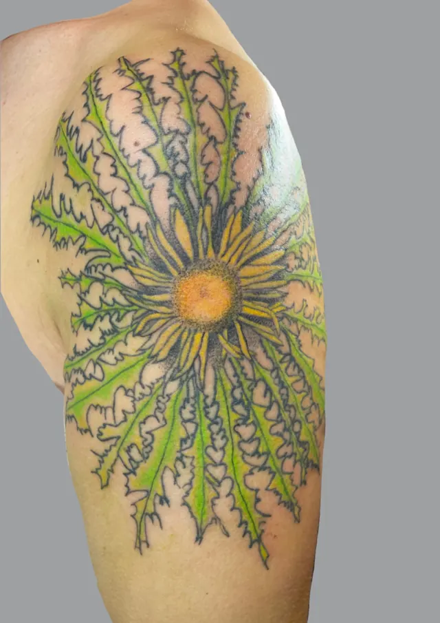 Tatouage en couleur sur l'épaule : fleur de chardon solaire aux épines vertes