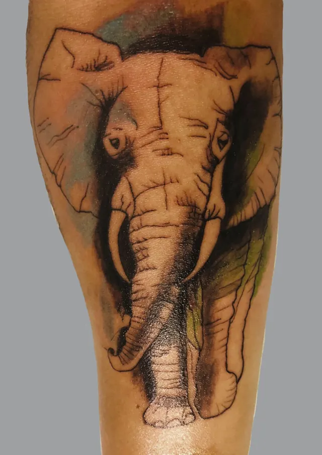 Tatouage d'éléphant sur le mollet, trait noir et touches d'aquarelle